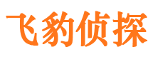 庐阳找人公司